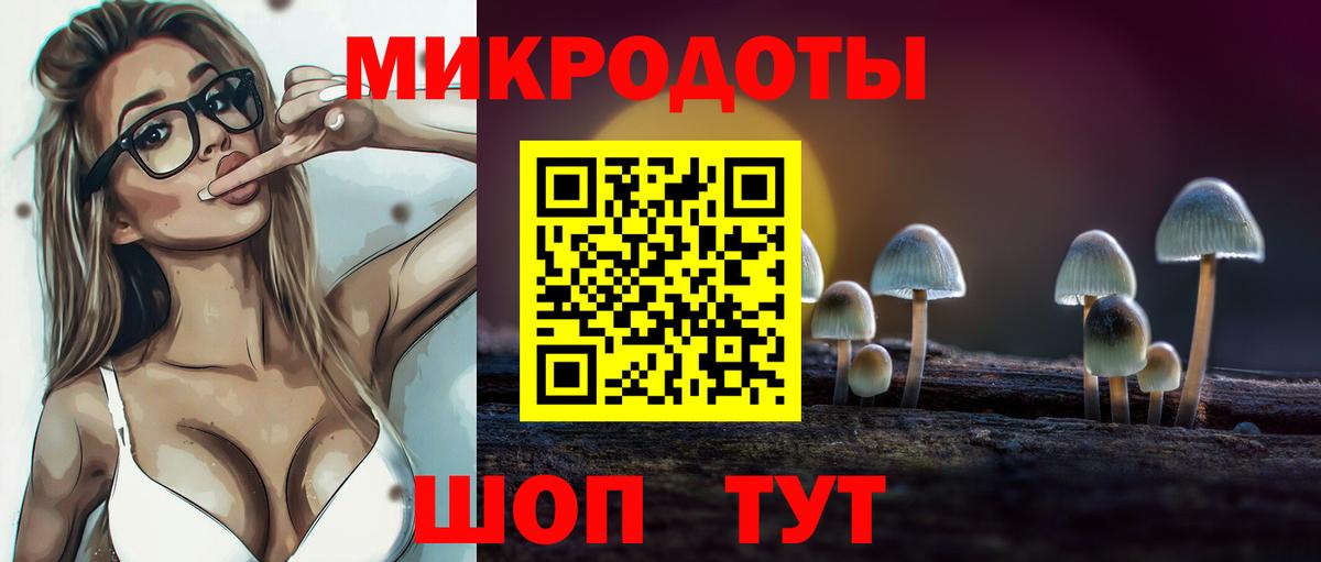 Псилоцибиновые грибы Psilocybine cubensis Будённовск